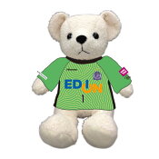 サンフレッチェ広島