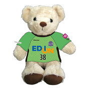 サンフレッチェ広島