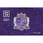 サンフレッチェ広島