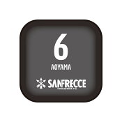 サンフレッチェ広島