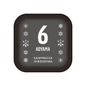 サンフレッチェ広島