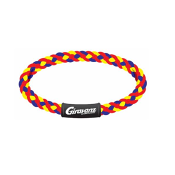 ギラヴァンツ北九州