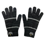 サンフレッチェ広島