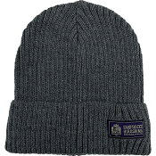 サンフレッチェ広島