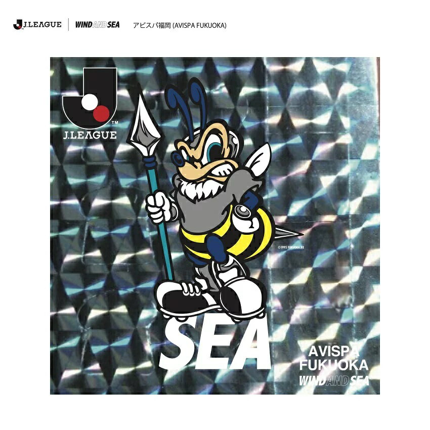 wind and sea × Disney コラボ　コーチジャケット