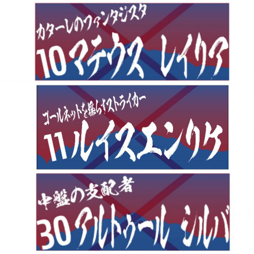 カターレ富山 花井聖選手Jリーグ通算200試合出場達成記念直筆サイン 