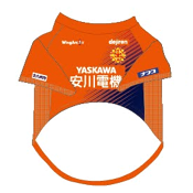 ギラヴァンツ北九州