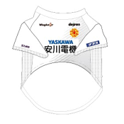 ギラヴァンツ北九州