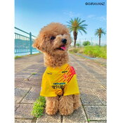 ギラヴァンツ北九州