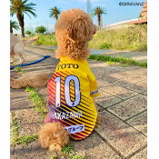 ギラヴァンツ北九州