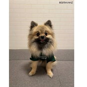 ギラヴァンツ北九州