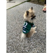 ギラヴァンツ北九州