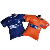 モンテディオ山形