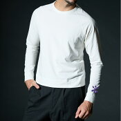 サンフレッチェ広島