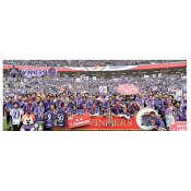 サンフレッチェ広島