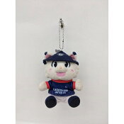 鹿児島ユナイテッドＦＣ