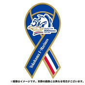 横浜Ｆ・マリノス