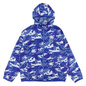 水戸ホーリーホック