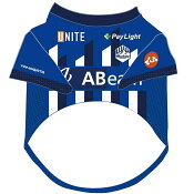 モンテディオ山形