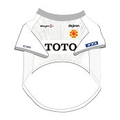 ギラヴァンツ北九州