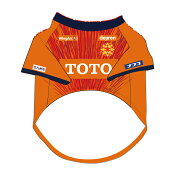 ギラヴァンツ北九州