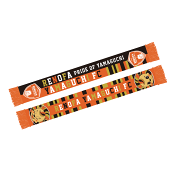 レノファ山口ＦＣ