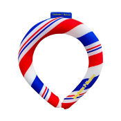 横浜Ｆ・マリノス