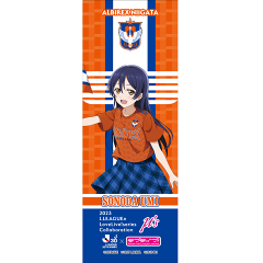 アルビレックス新潟 adidas×ALBIREX FI スリーストライプスパーカー