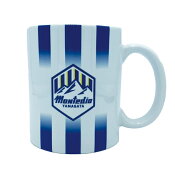 モンテディオ山形