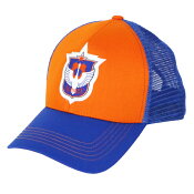 アルビレックス新潟