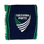 徳島ヴォルティス