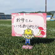 モンテディオ山形