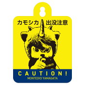 モンテディオ山形