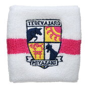 テゲバジャーロ宮崎