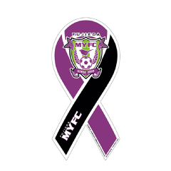 FC今治 藤枝MYFC ピンバッジ ピンバッチ FC今治 藤枝MYFC ピンバッジ ピンバッチ FC今治 ピンバッジ