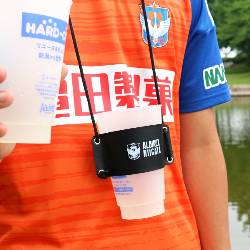 アルビレックス新潟 セットアップ 3点セット L アルビレックス新潟 セットアップ 3点セット L