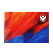 アルビレックス新潟