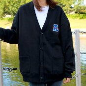 アルビレックス新潟