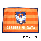 アルビレックス新潟