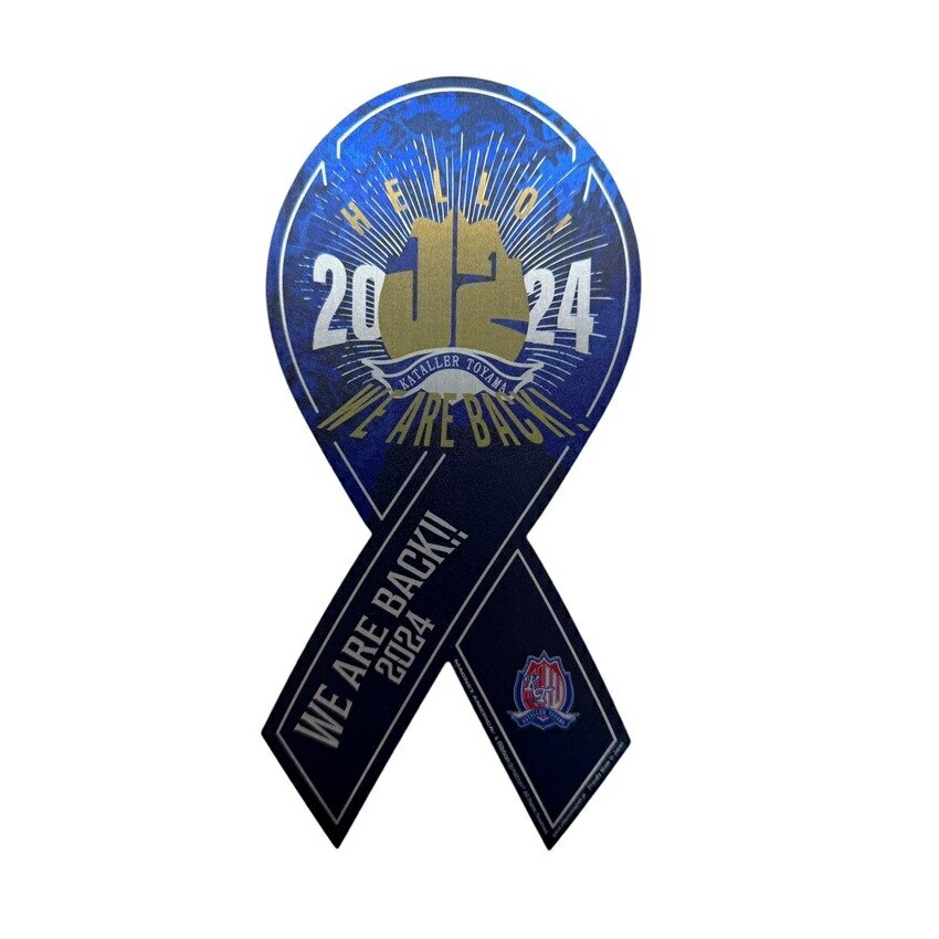 カターレ富山 昇格記念メタルリボンマグネット（ロゴ）｜【公式】J