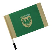 東京ヴェルディ