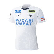 徳島ヴォルティス