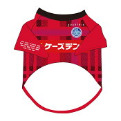 水戸ホーリーホック