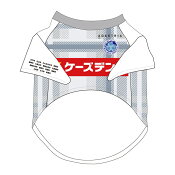 水戸ホーリーホック