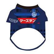 水戸ホーリーホック