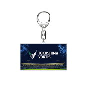 徳島ヴォルティス