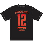 アルビレックス新潟