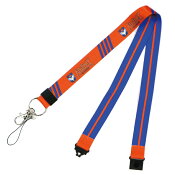 アルビレックス新潟