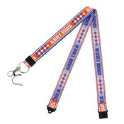 アルビレックス新潟