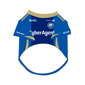 ＦＣ町田ゼルビア